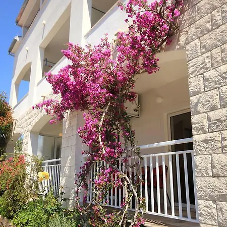 - Perna 4541a Apartament *